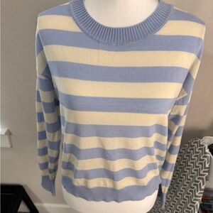 Express Blue and Cream Striped Sweater